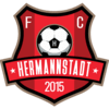 Superliga Romania (Liga 1) - emblema afc-hermannstadt
